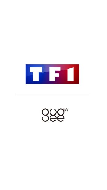 TFI French TV channel