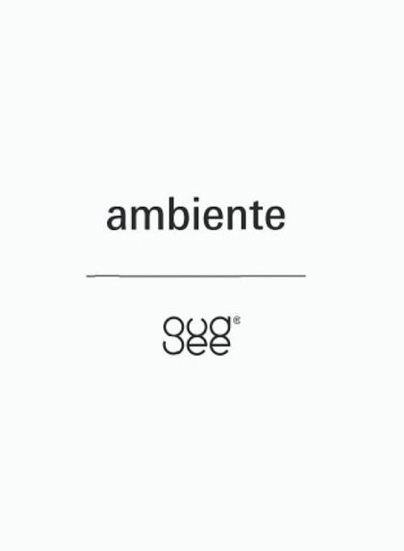 Ambiente the blog
