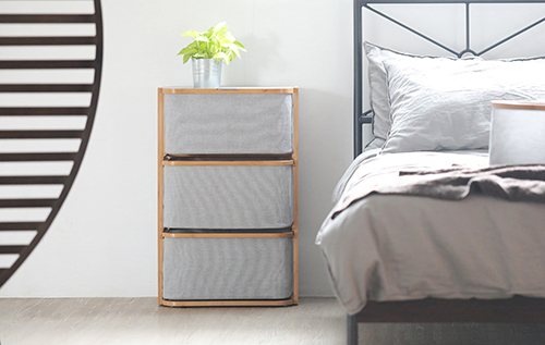 Celia_pm_2019_01_p500